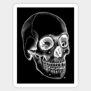 Halloween Skull - White on Black Magnet